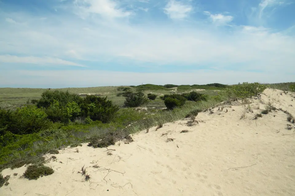 A ridge of beach dunes with scrub under a soft blue sky at Amagansett.