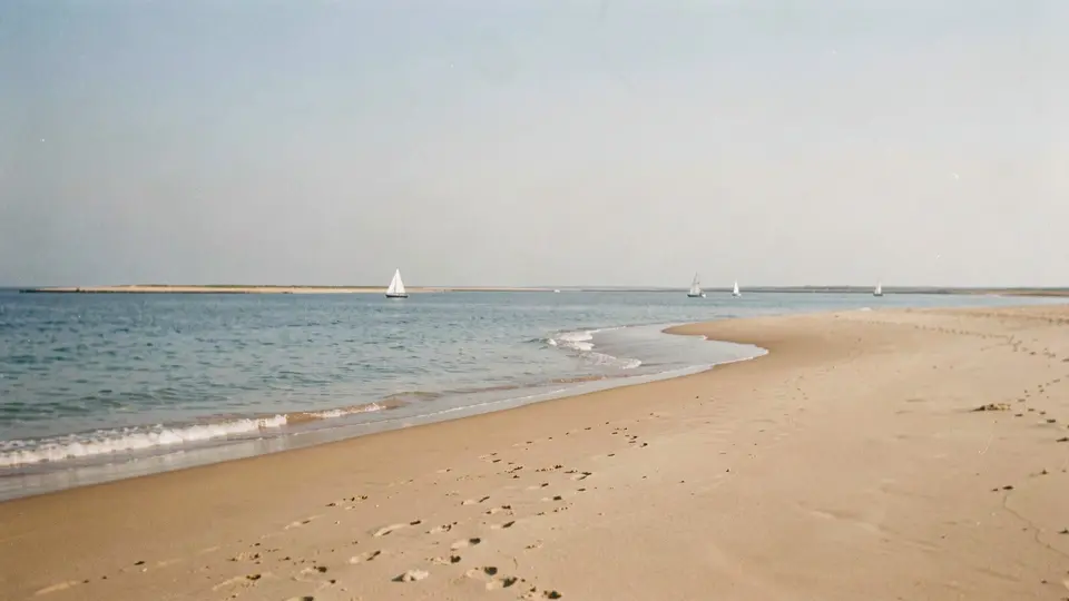 A curved sand beach on a calm blue bay, pale summer sky, a wooded point at the far end, gentle ripples, bright and sunny.