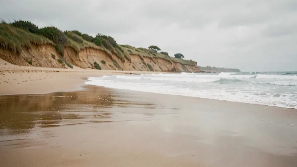 Green-grey Atlantic swell lines peeling over a reef on an overcast morning, spray off the wave tops, wet sand and a low grassy bluff at right, surf-town mood.