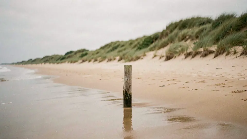 A quiet stretch of open sand backed by a high green dune, a single weathered wooden post in the sand, glassy wet beach under pale overcast sky.