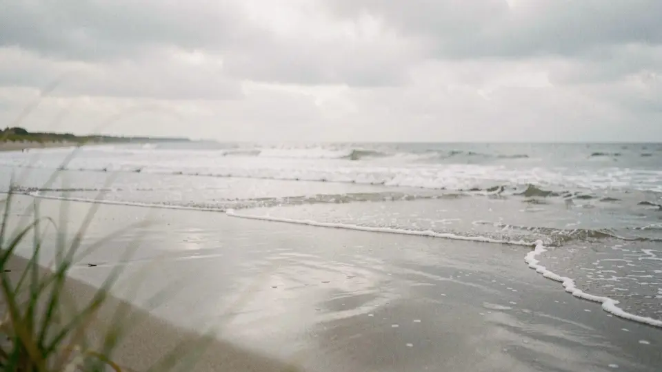 Silver overcast morning, glassy wet sand reflecting the sky, small clean waves sliding up the beach, beach grass blurred in the foreground.