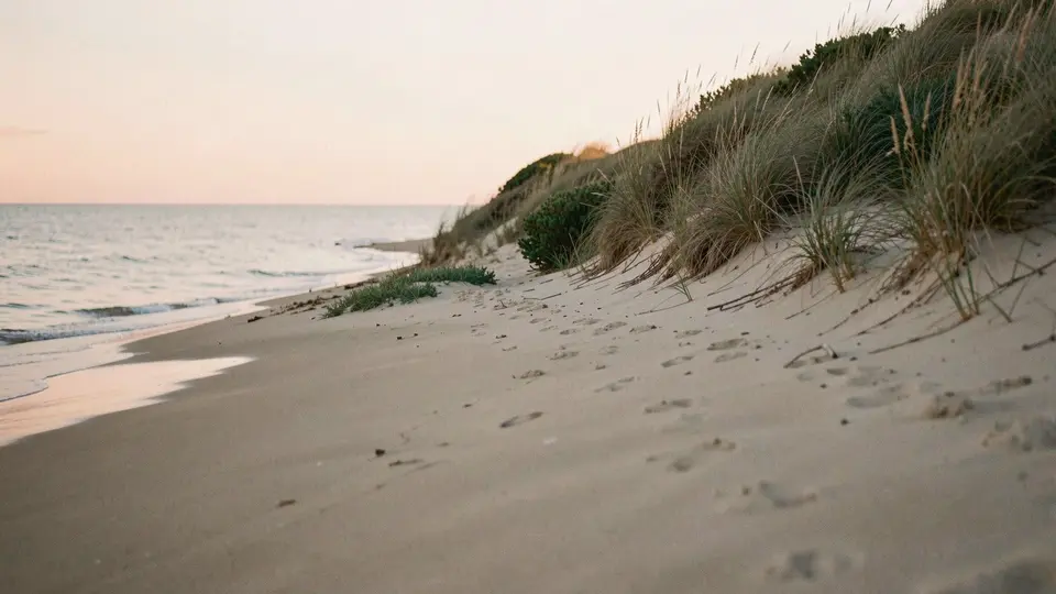 A wide empty beach below a high dune of grass and bayberry, soft peach dawn, calm sea, very quiet and elegant.