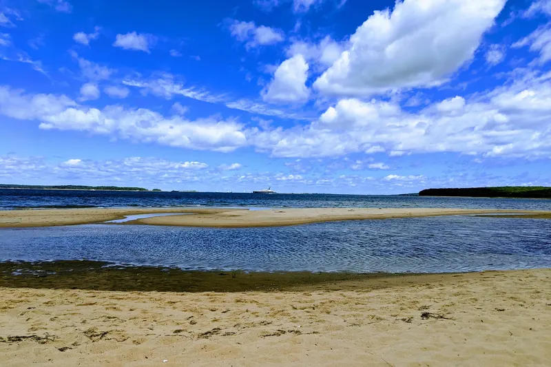 A bay beach at low tide with a shallow tidal pool, a sandbar and wooded shoreline under a blue sky.