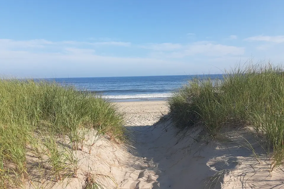 A grassy dune path opening onto the ocean at Hither Hills.