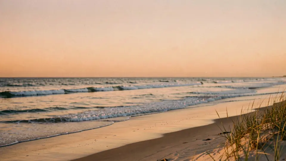 Sunrise gold on the Atlantic, wet-sand reflections, long waves rolling in under a clear apricot sky, dune grass edge.
