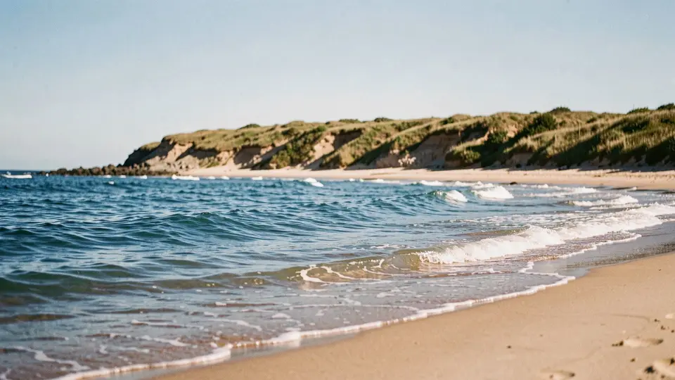 A bright clear morning on a small-surf ocean beach below a low grassy bluff, deep blue water with small curling waves.