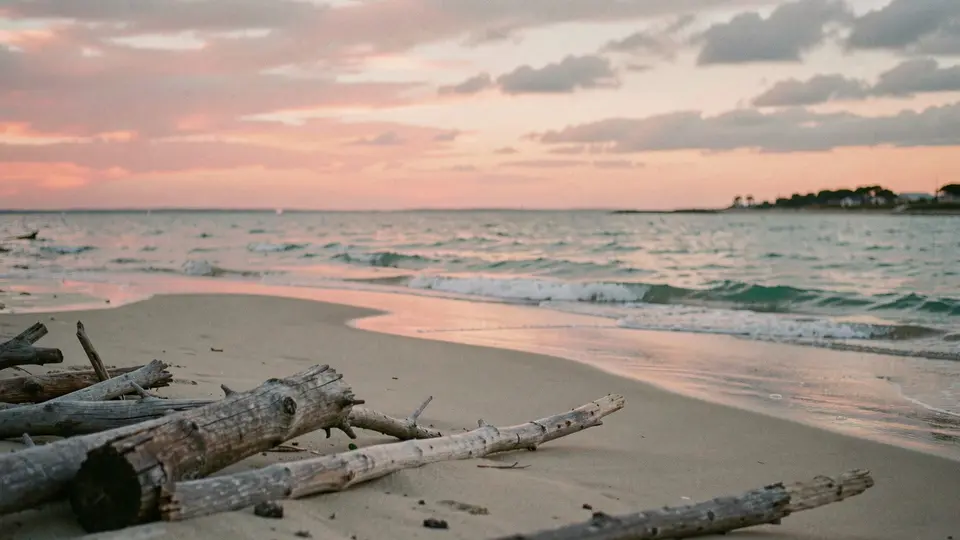 A wide shallow bay with a long sandbar, driftwood in the foreground, sunset sky over Napeague Bay in coral and teal.