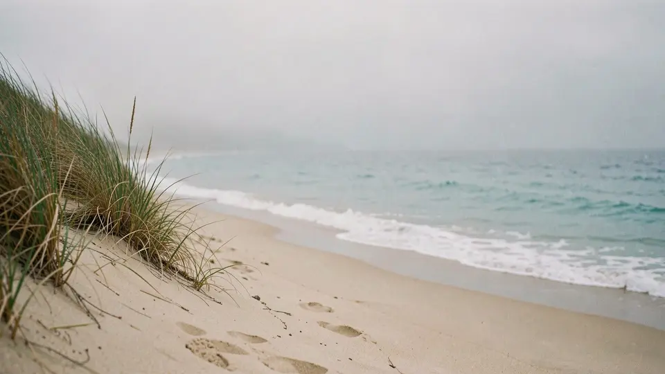 An empty bay beach with a dune and dune grass on the left, calm turquoise bay, hazy horizon, drifting mist.
