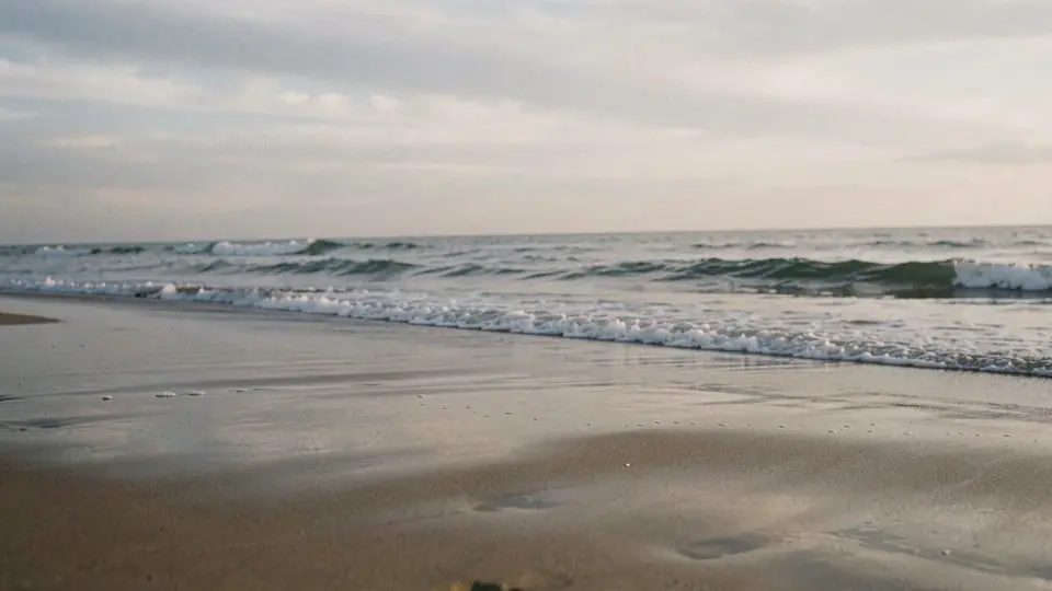 Midday sun on a turquoise-green wave about to break, white foam lines, rippled sand, beach grass in the foreground.