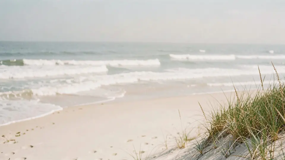A wide barrier-island beach in summer haze, soft rolling waves, pale sand, dune grass edge, calm bright day.