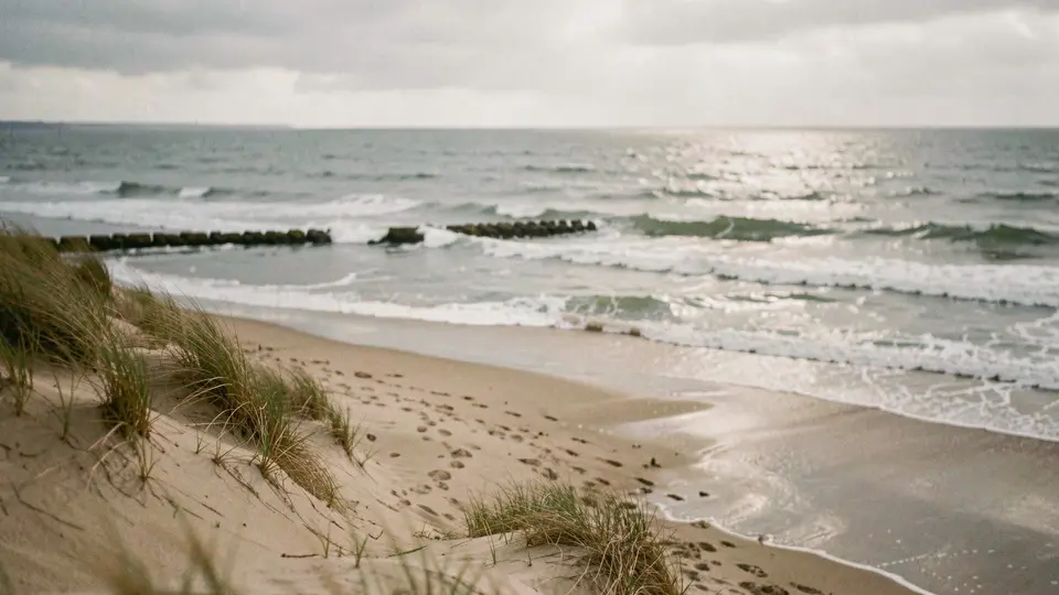 Overcast day on a barrier beach, a narrow strip of dune with the bay glinting behind it, rough grey-green surf over a sandbar.