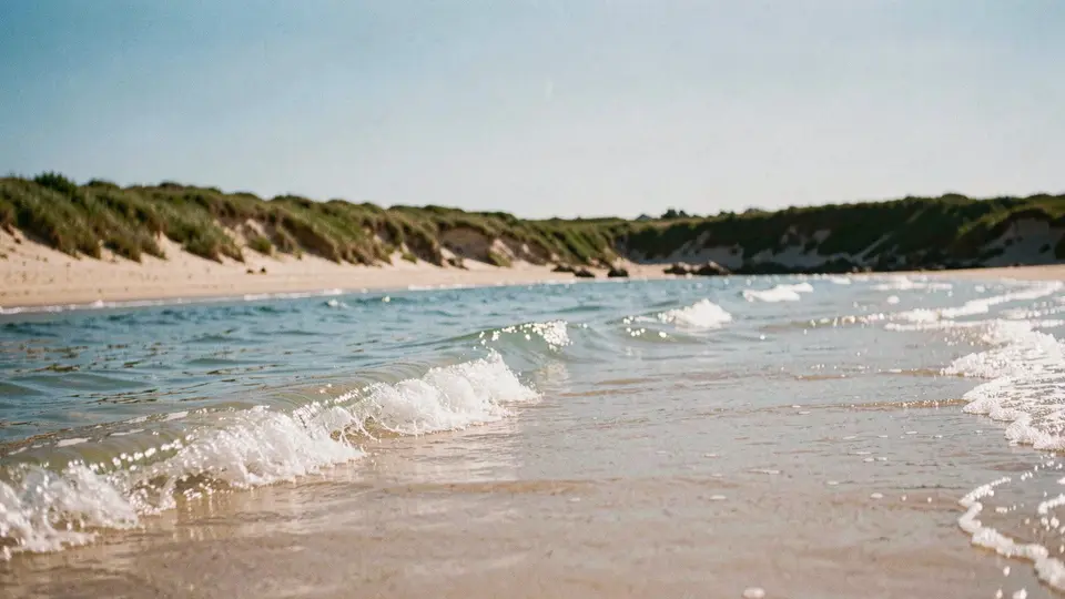 Bright blue morning, a small clean wave breaking on a sandy beach below a low grassy bluff, view along the shore, sparkling water.