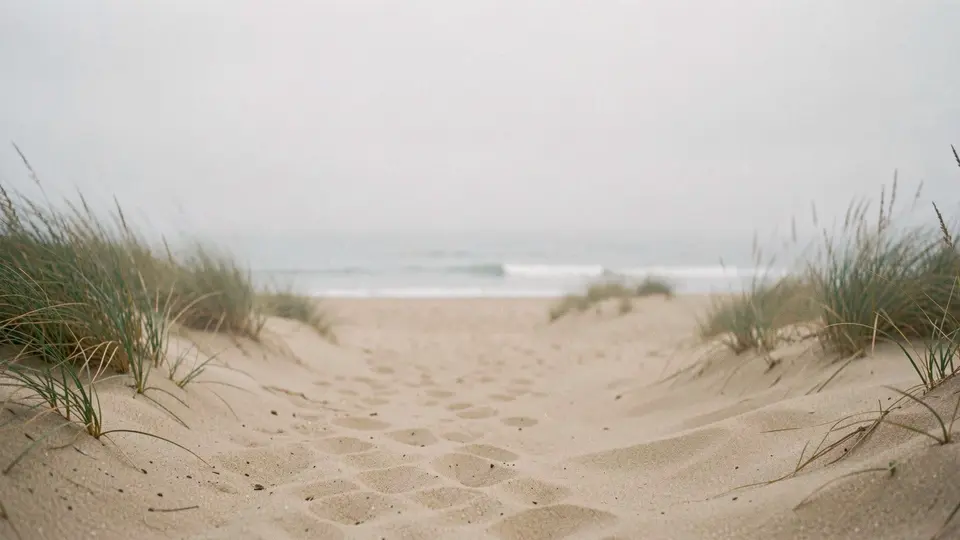 A quiet road-end beach in morning fog, sand blown into soft drifts, ghostly grass, the sea barely visible, pale and calm.