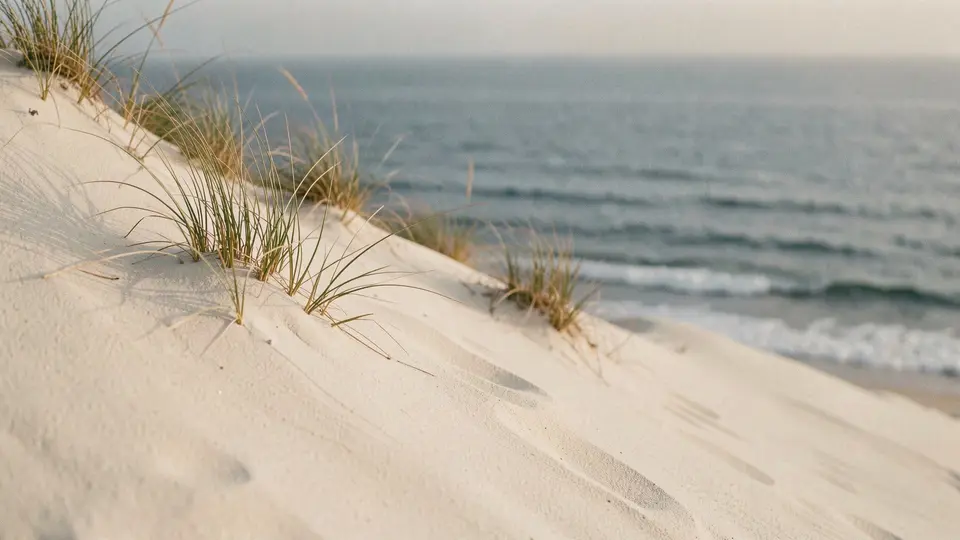 A steep dune dropping to the beach in golden hour, the dune face lit orange, small waves, a thin crescent of foam.