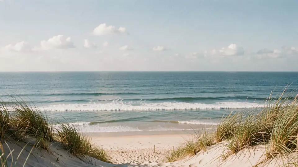 A summer ocean beach with a dune of beach plum and grass, a gentle line of surf and a hazy blue sky, pastoral and calm.