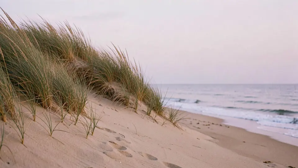 Quiet sand away from the crowds, a tall dune with a break in the grass, a flat calm sea, pale lilac early light.